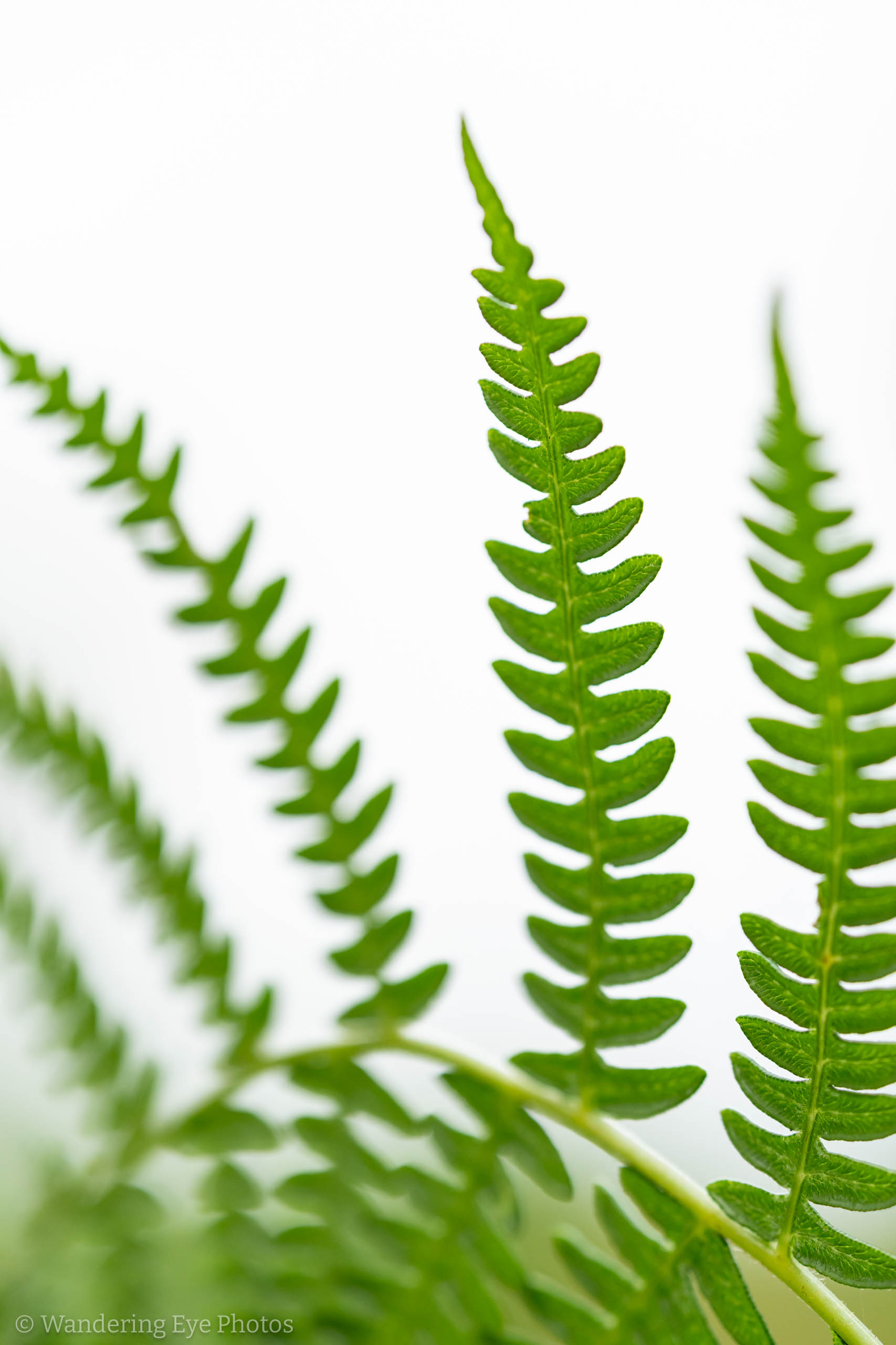 08.31 14.29.55   DSC02758